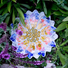 Daisy Stepping Stone Kit - SKU 902-15113W