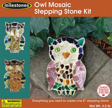 Owl Stepping Stone Kit - SKU 901-15207W