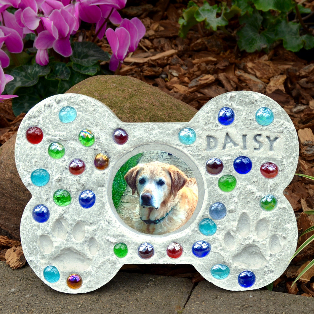 Pet Photo Stepping Stone Kit - SKU 901-11296W