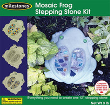 Mosaic Frog Stepping Stone Kit - SKU 901-11452W
