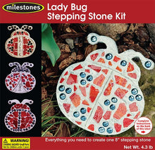 Lady Bug Step Stone Kit - SKU 901-15210W